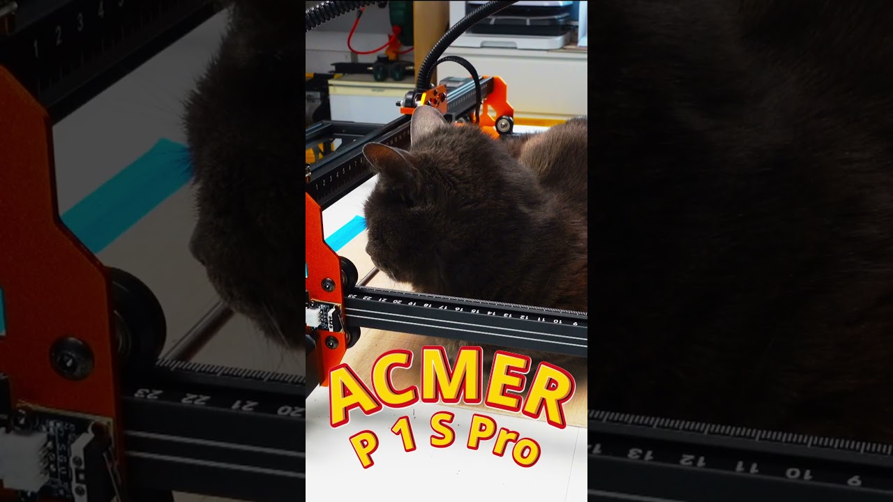 My cat wants his burnmark | Is it even possible?