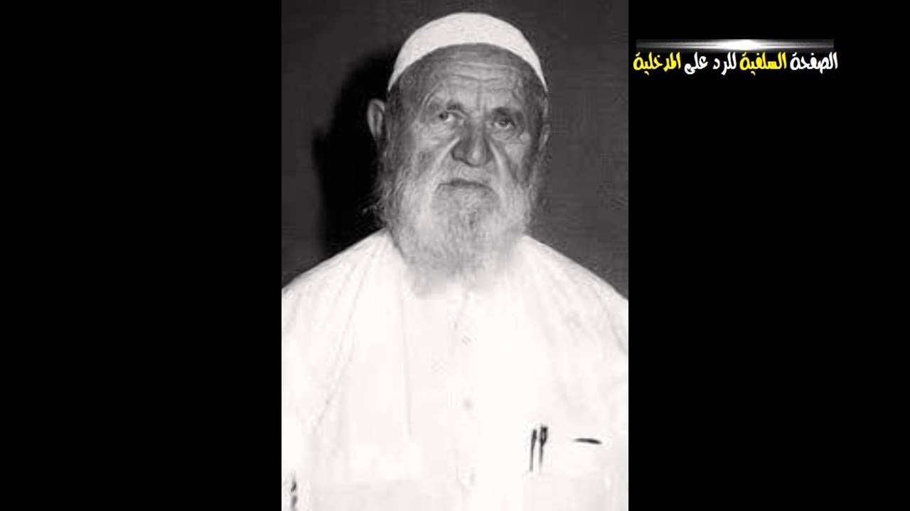 الألباني عن المدخلي ربيع 