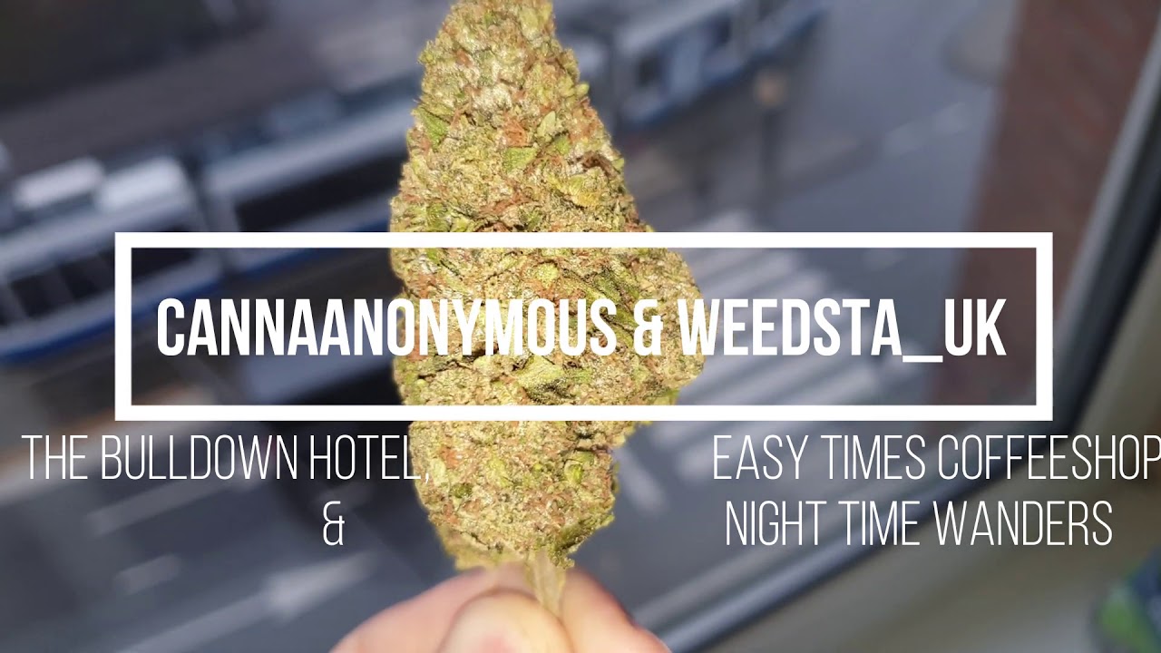 Amsterdam Coffeeshop Tour -The Bulldog Hotel & Easy Times Coffeeshop