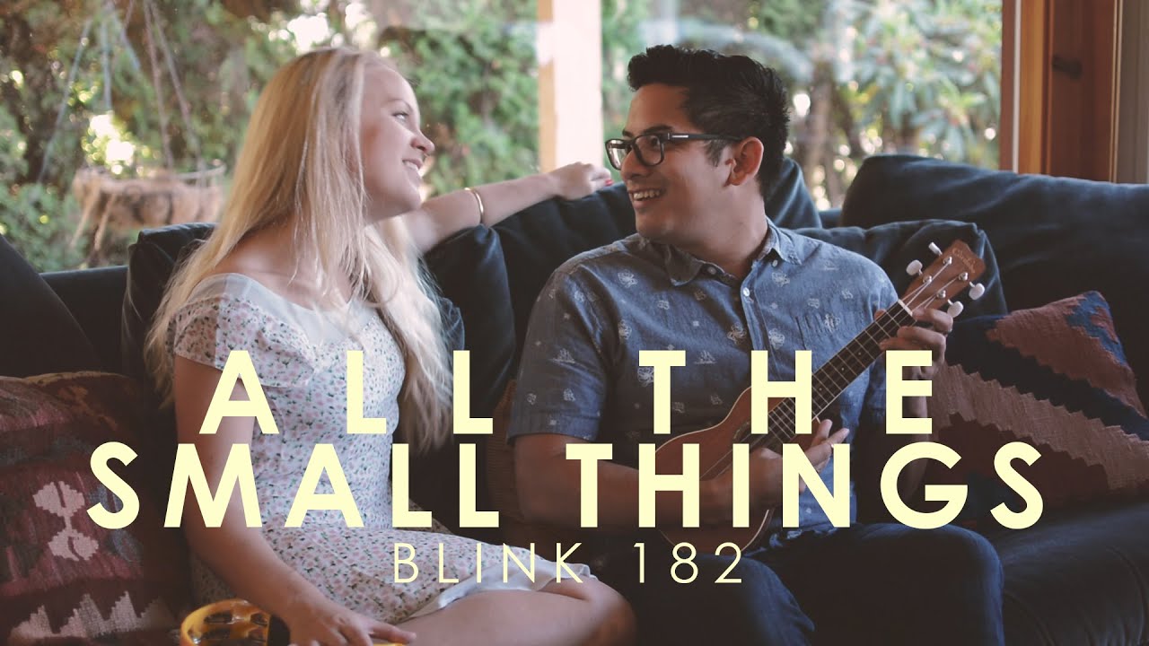 All the Small Things - Blink 182 (Ukulele Cover)