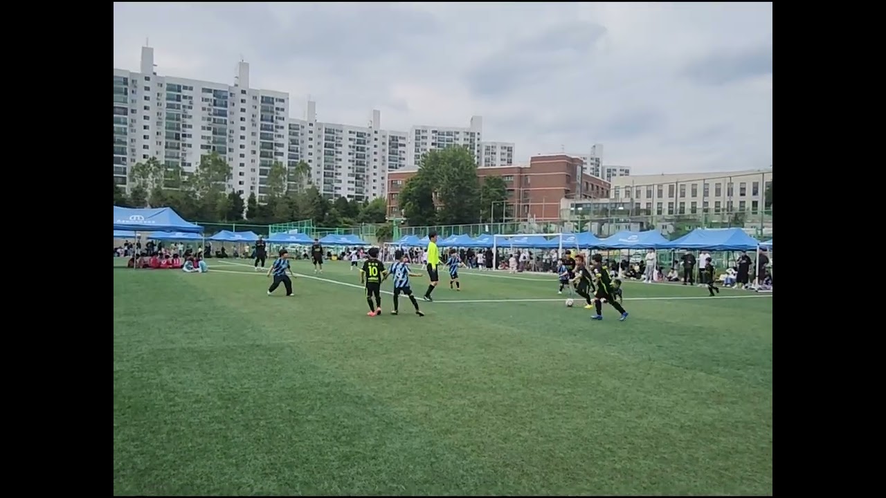 내새끼 축구!