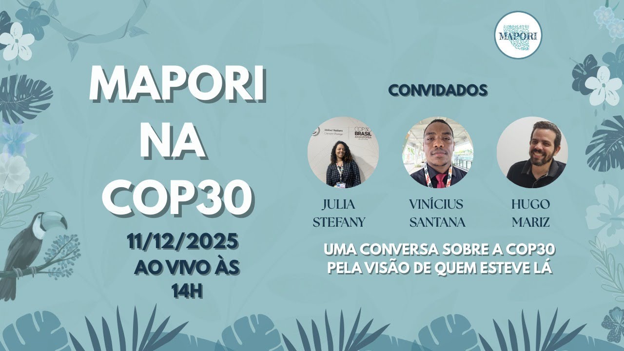 A COP30 do Clima: um balanço do MAPORI
