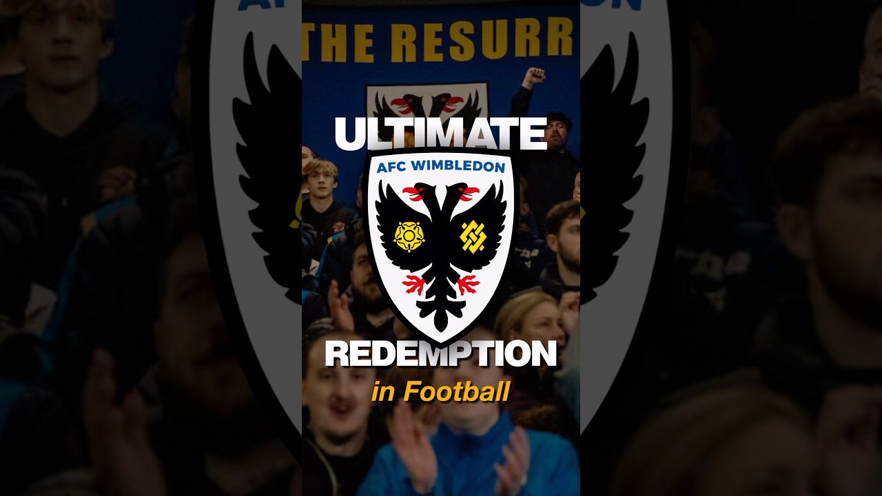 This club was stolen from its fans | The Redemption Story of AFC Wimbledon #football #efl #wimbledon