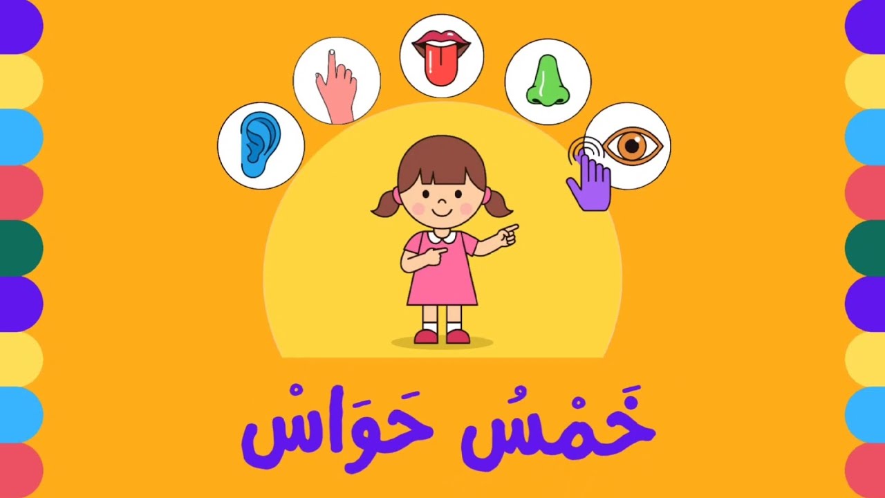 خمسُ حواس - عبقري وزمور | أغنية الحواس الخمس التعليمية والممتعة