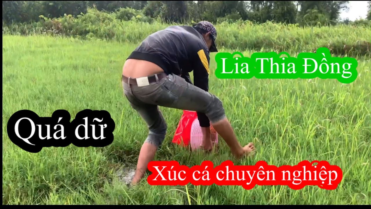 Xúc cá Lia Thia Đồng
