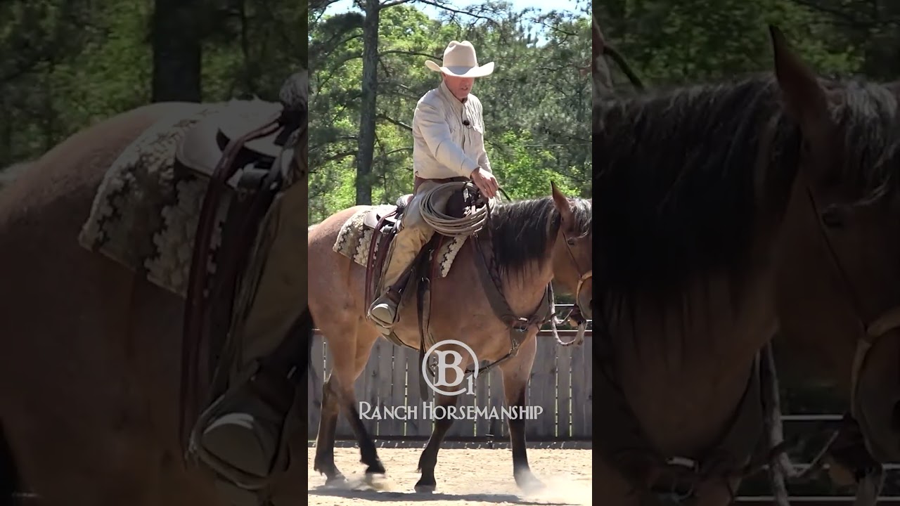 How to neck rein.