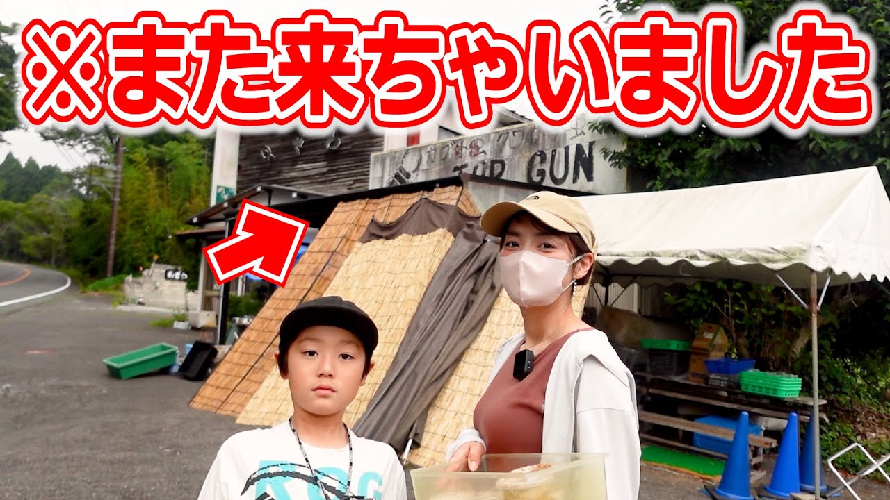 【オオクワガタ③】渋滞なし2時間半！TOPGUNでオオクワガタ幼虫のオスメス判別！結果は！？