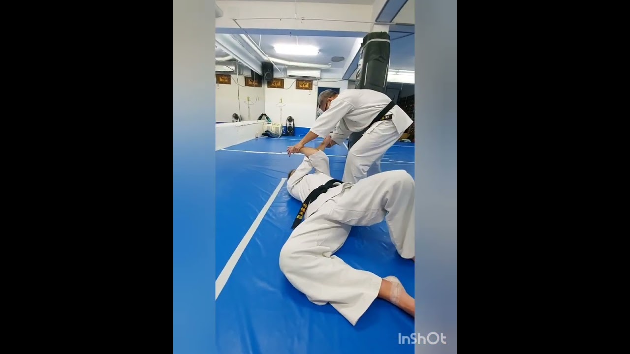極伝大東流 Dai Nikajo favorite techniques demonstration by Mr Cheng