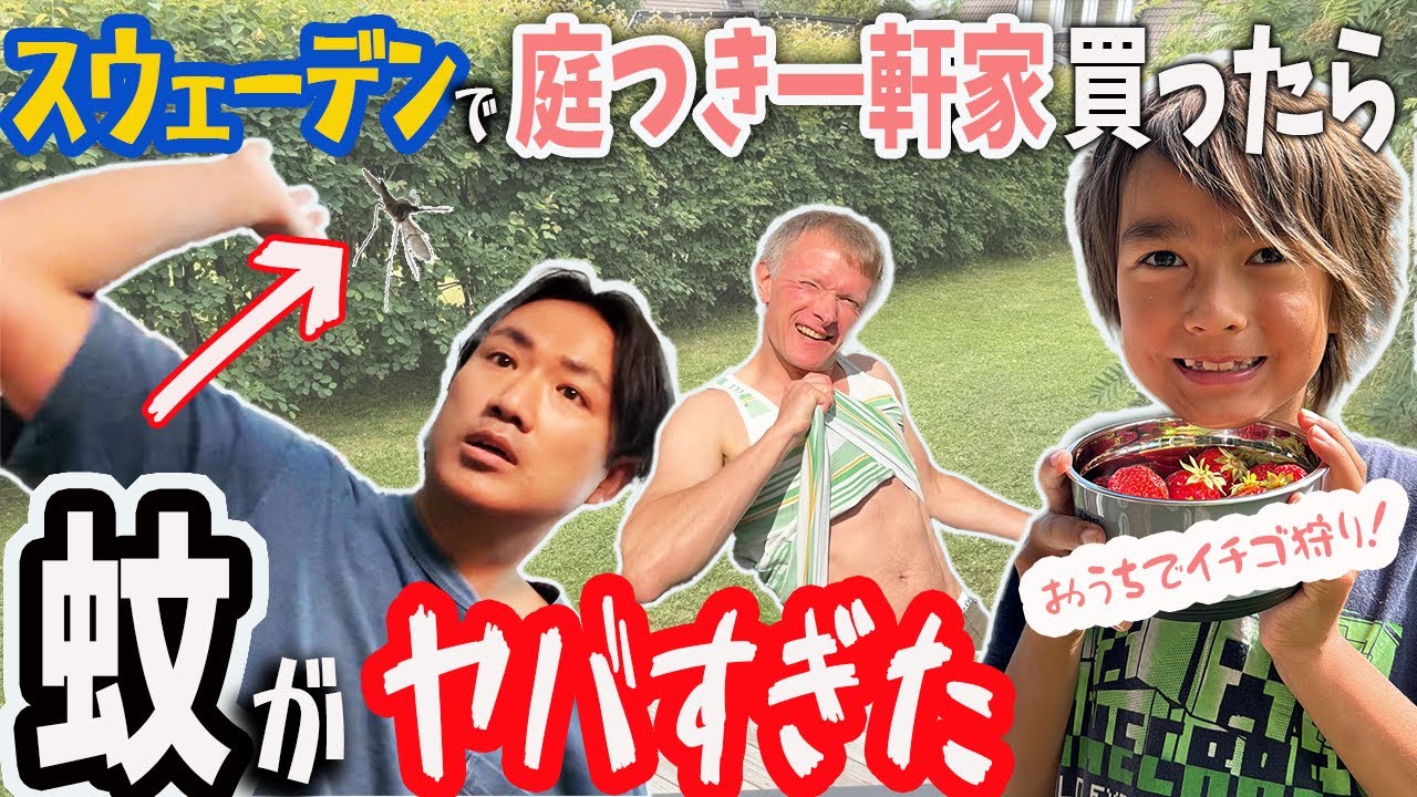 【日本人免疫なし】芝刈り・草むしりにジャグジーの手入れ…でもイチゴ狩りも下し、最後はサムギョプサルごっこで1日を終えた庭仕事の日【ふたりぱぱvlog】(Eng:sub)