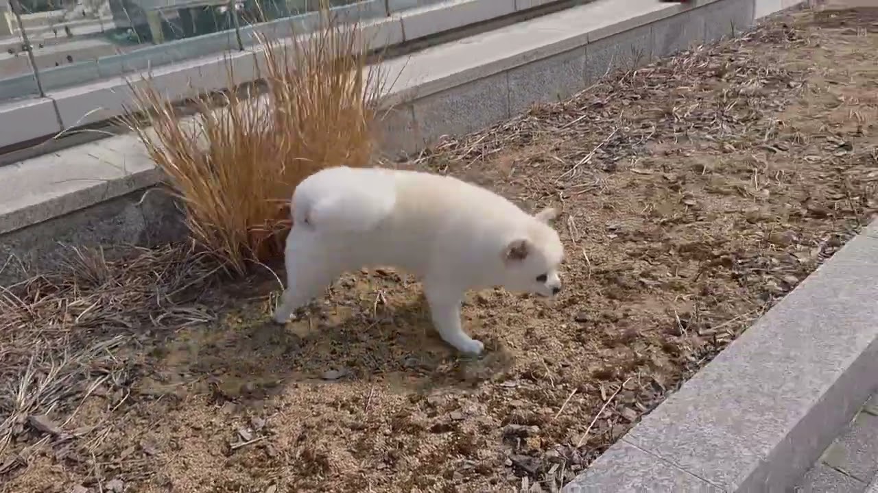 @귀여운 에너다이저♡♡
