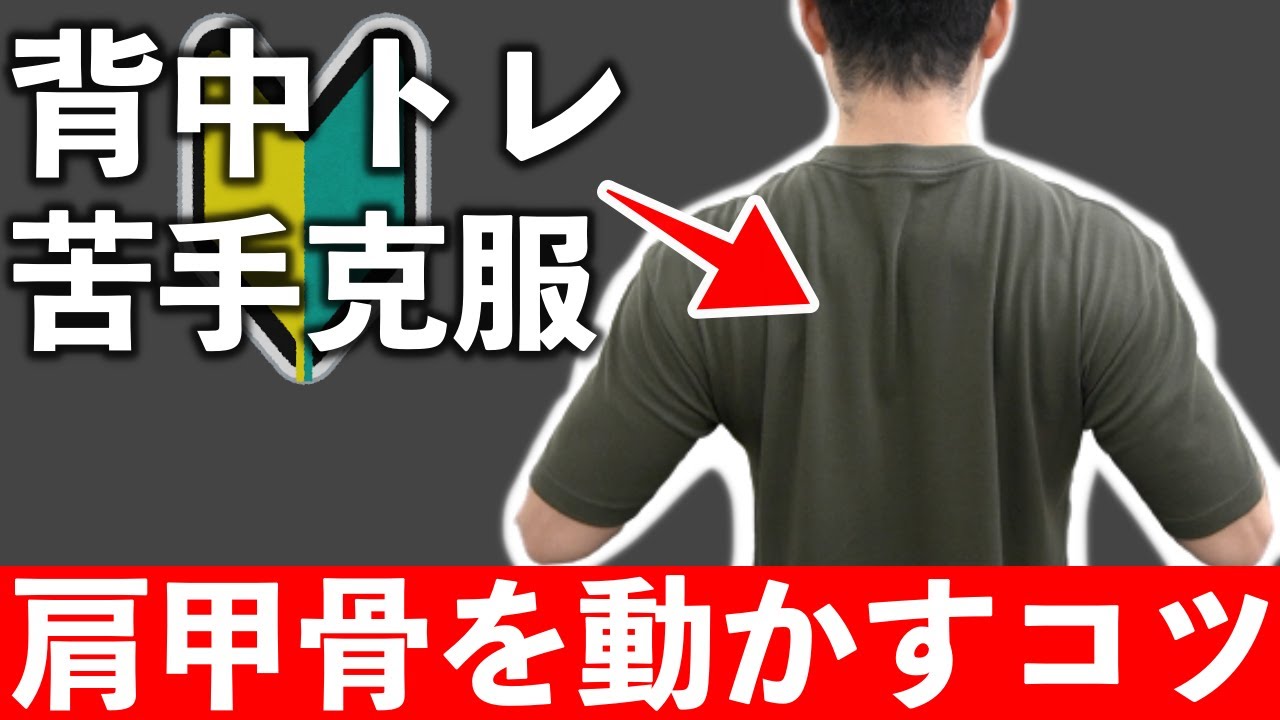 【背中の筋トレが苦手な方向け】肩甲骨をうまく動かす3つのコツ