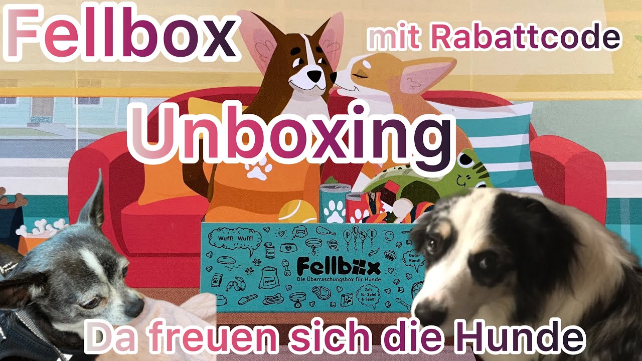 Fellbox 🤩 Unboxing 🍂 Wir sind begeistert❤️ Mach Deinen Hund glücklich🤩 Lucy hat Ihr Futter gefunden