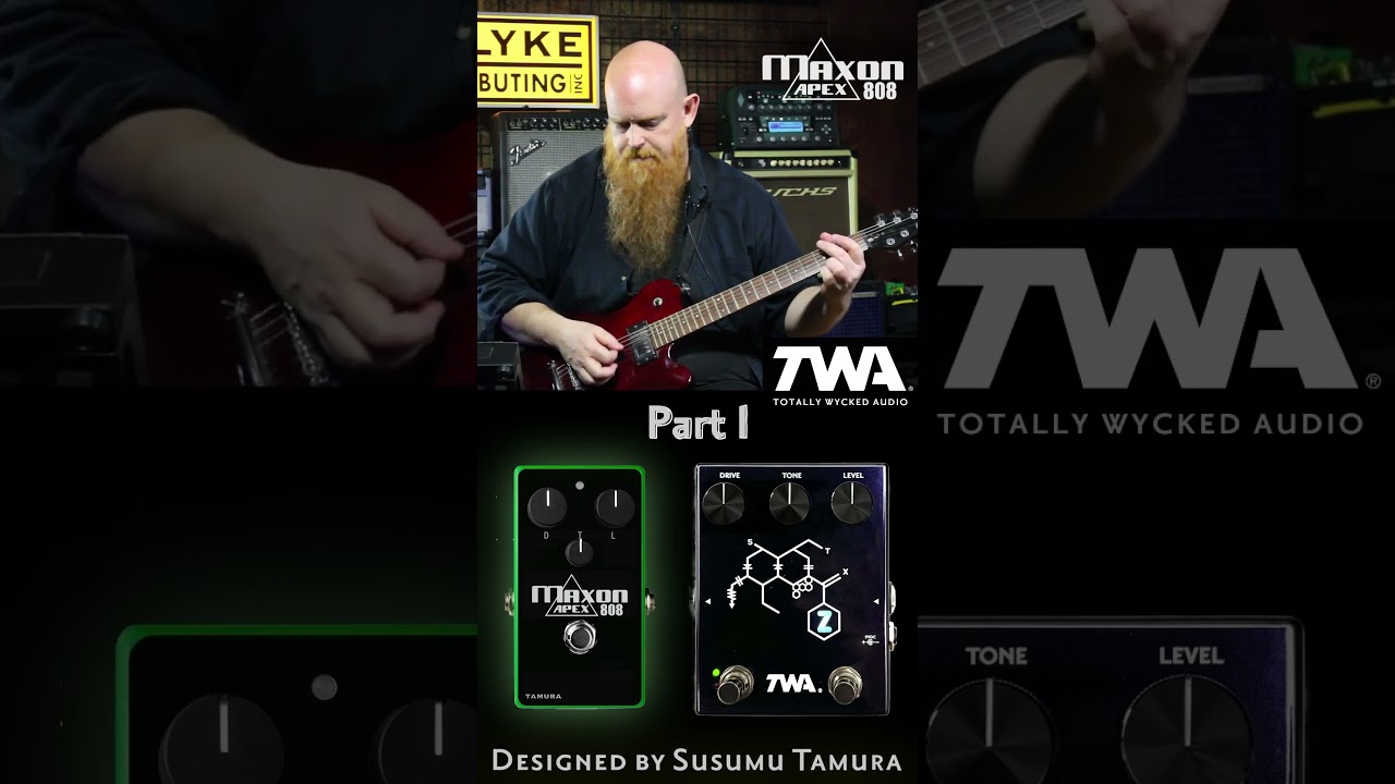 Chemical Z and Apex808 together? Pt. 1 #twapedals  #boutiquepedals #analogpedals #guitar  #guitarist