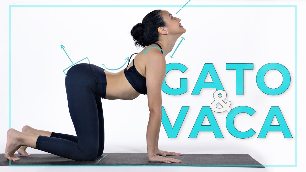 COMO FAZER as Posturas do Gato e da Vaca (Marjaryasana e Bitilasana)   TUTORIAL COMPLETO