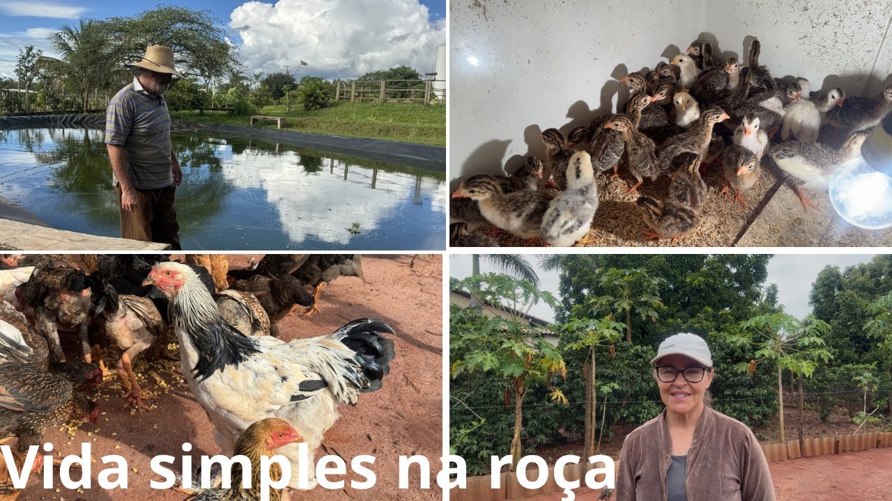 Depois de muita chuva, olha o que tivemos que fazer na roça… 🌧️🐟😱