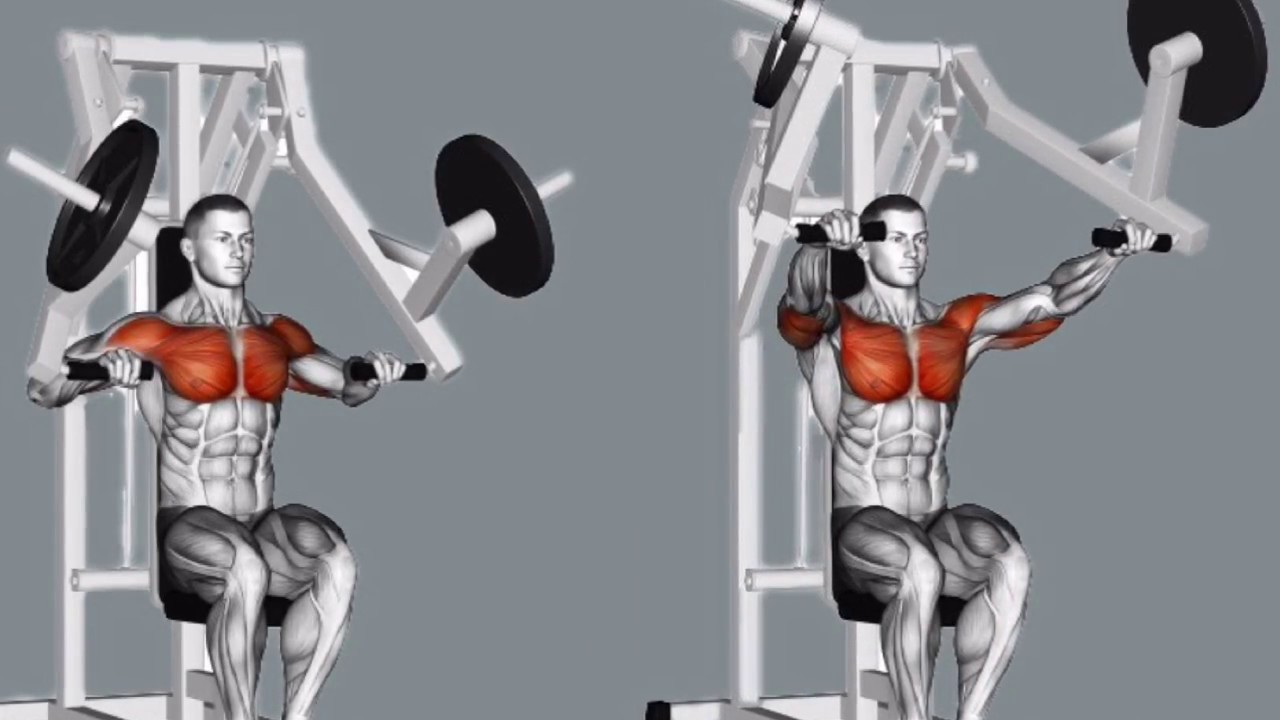 Fitness & Bodybuilding