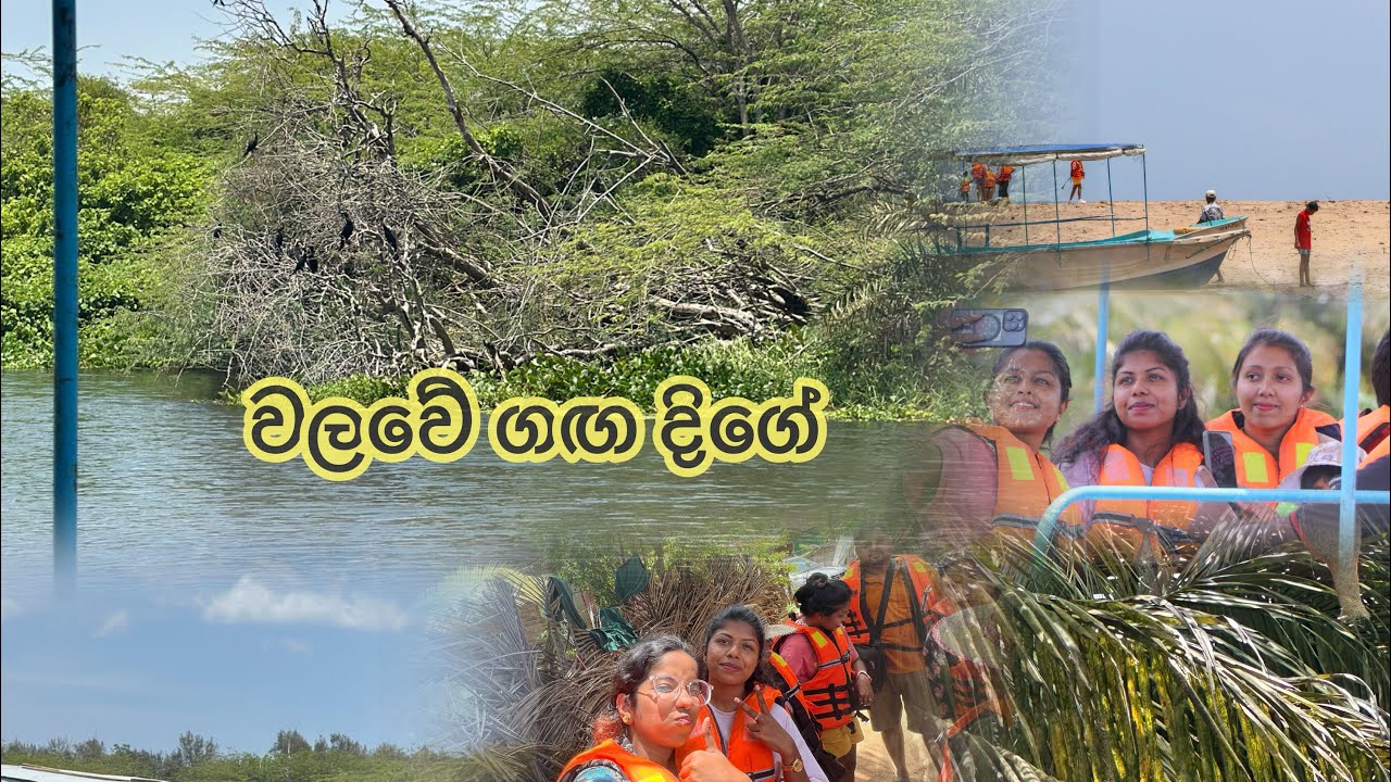 වලවේ ගඟ දිගේ🚤🚤 | ☘️🌿 Walawe River Boat Safari 🌿☘️😍