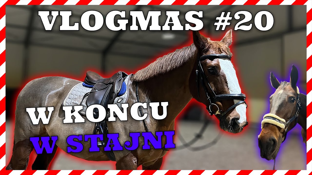VLOGMAS #20 | DILKA WRACA I PRZYMIERZAMY JEJ BUTY