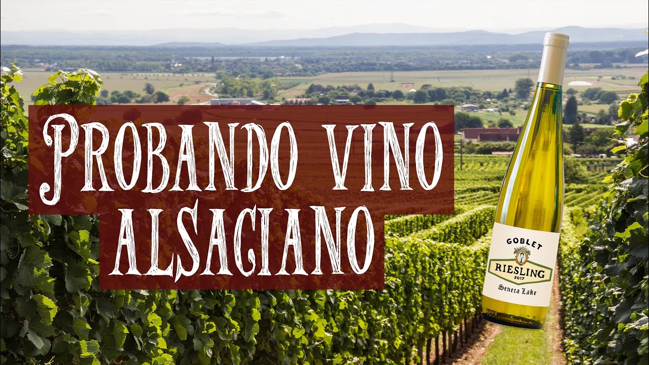 Alsacia: Cata de vino alsaciano en Beblenheim | FRANCIA #25 | Entre Rutas