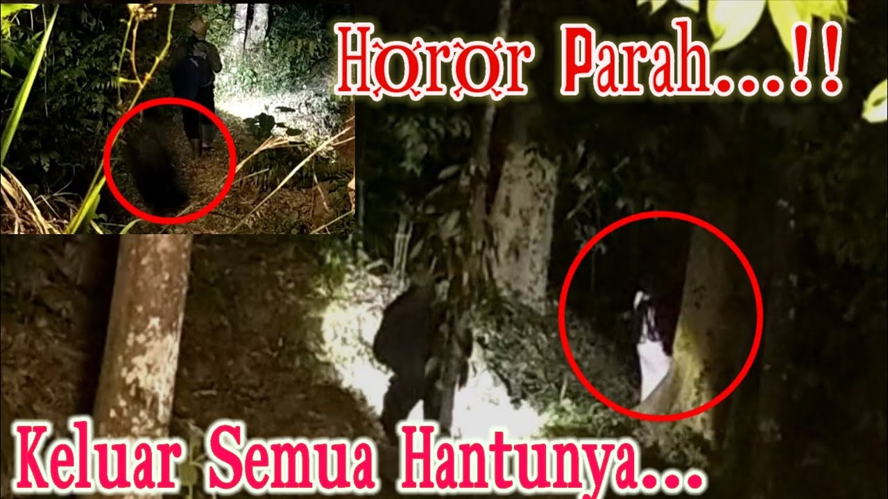Camping Horor:Keluar Semua Hantunya‼️Mereka Meneror Campingku #campinghororhutan