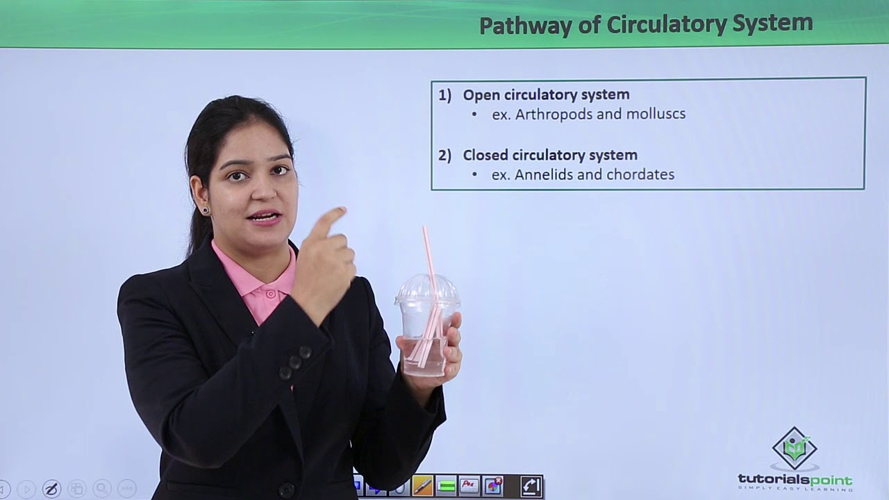 Class10th – Human Circulatory System | Circulatory System | Tutorials Point