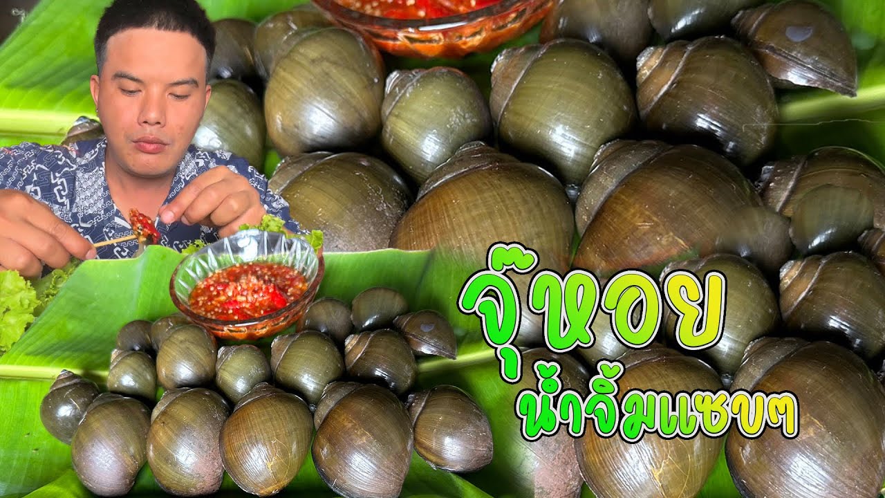 หอยปังห้องน้ำคำ