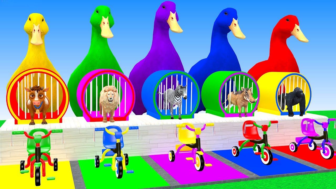 Long Slide Game With Elephant Gorilla Buffalo Hippopotamus Tiger 3d Animal Game Funny 3d Animals