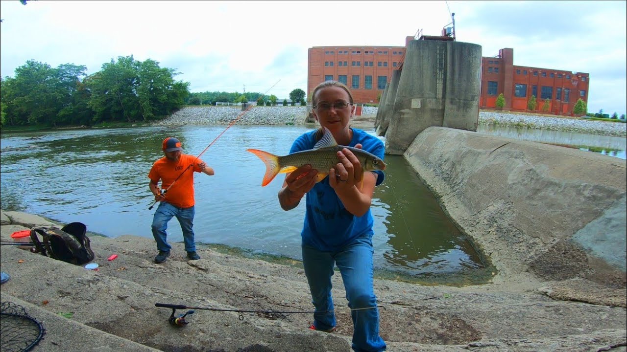 Great Miami River Fishing (Multi Species) Unexpected Catch