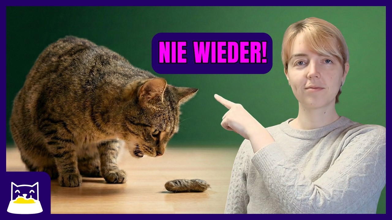 Als Dosenöffnerin von 12 Katzen: 3 Ernährungsstrategien gegen Haarballen