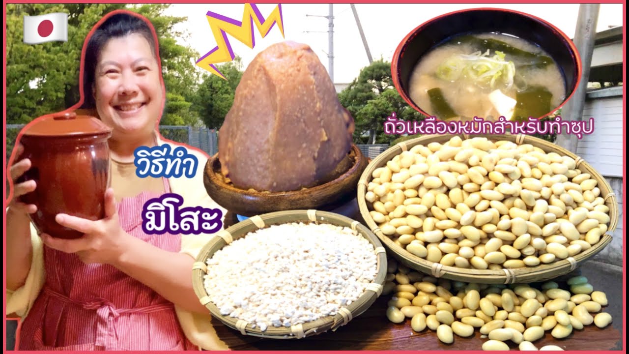 🇯🇵วิธีทํา”มิโสะ”ถั่วเหลืองหมักสําหรับทําซุปมิญี่ปุ่น How to mak Japanese Miso
