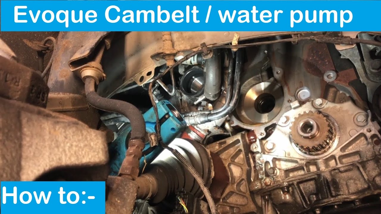 2013 Range Rover Evoque freelander 2.2 cambelt water pump change DW12 Duratorq - How to