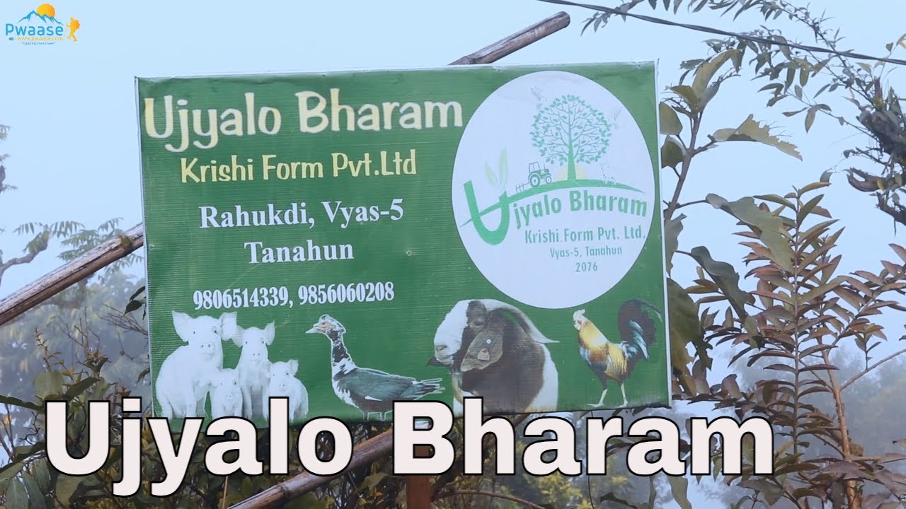 UJYALO BHARAM Agriculture Farm | Suman Thapa Magar | Tanahung | Manungkot