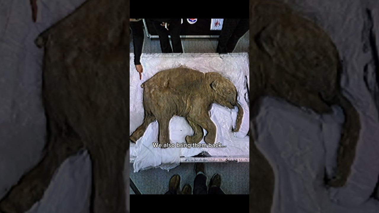 THEY&rsquo;RE BRINGING THIS ANIMAL BACK TO LIFE?! #prehistoric #mammoth #iceage