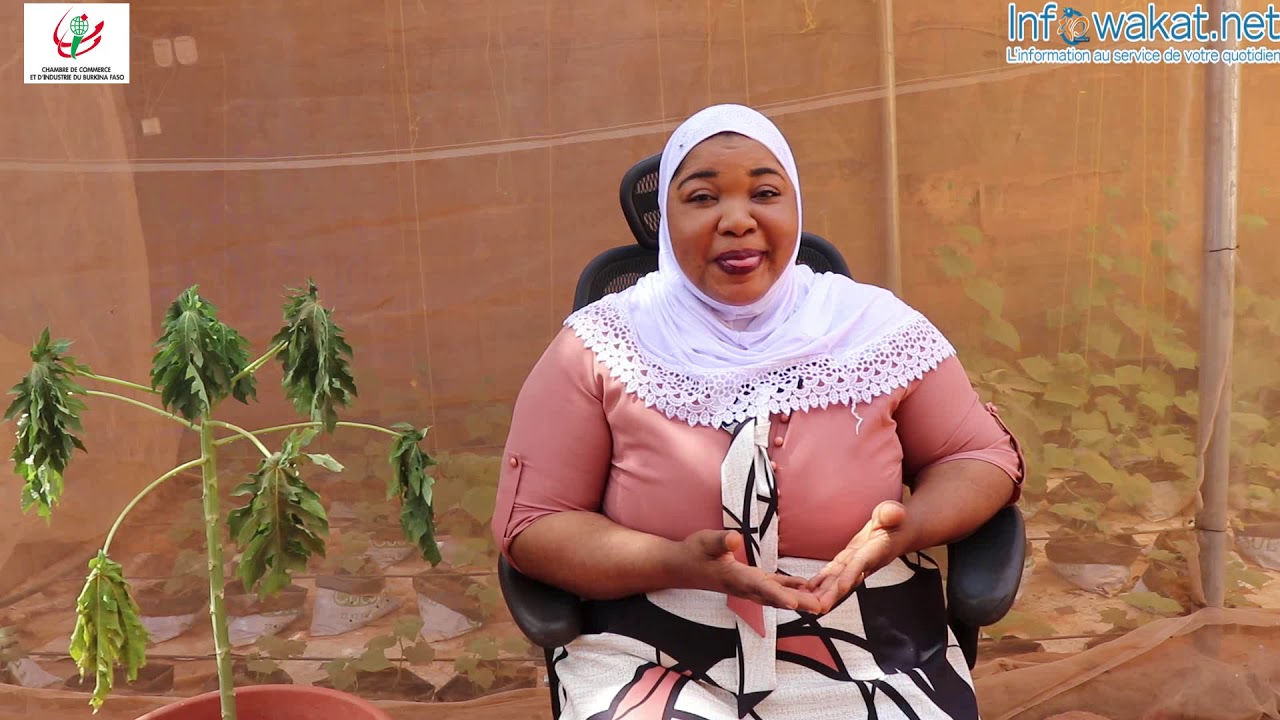 Entreprenariat : La culture hors sol, une solution pour atteindre l’autosuffisance alimentaire