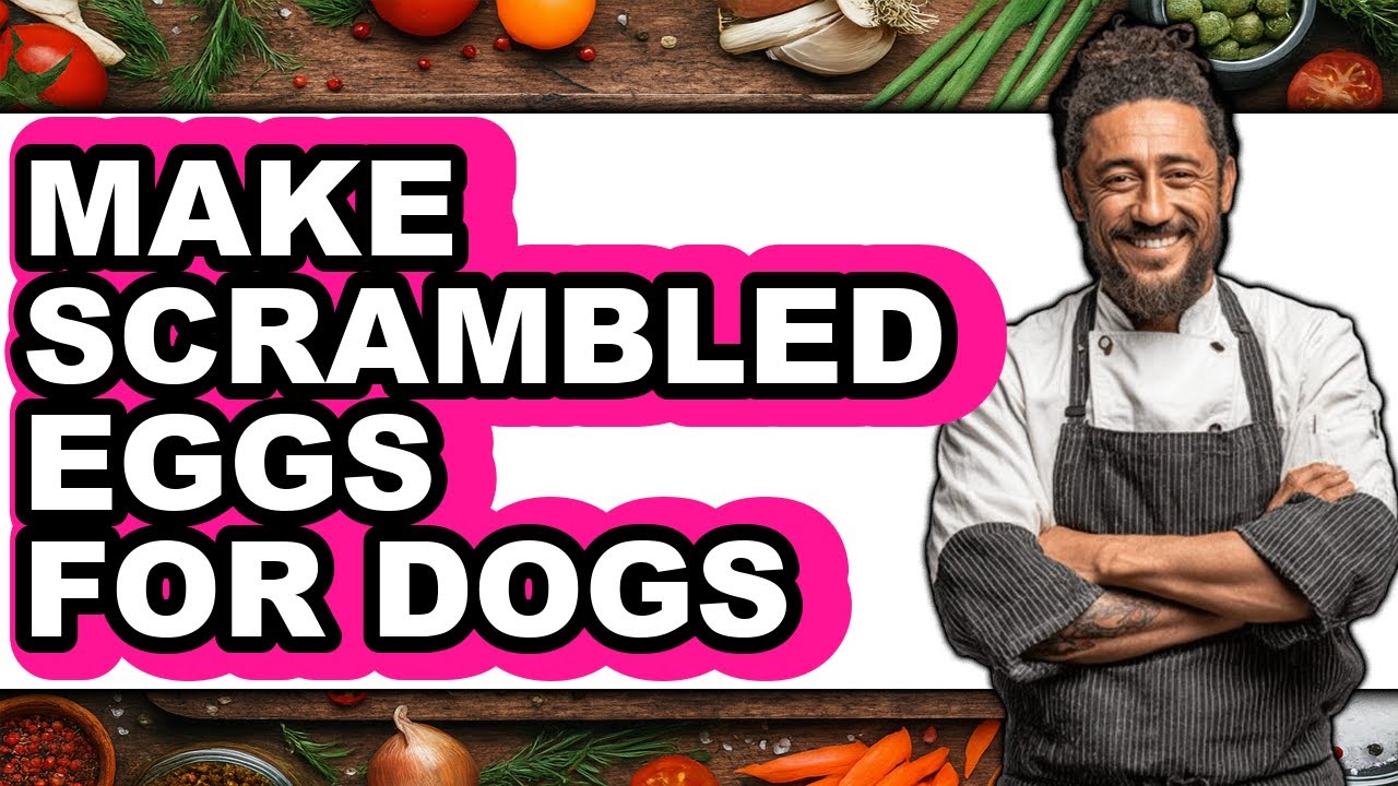 How To Make Scrambled Eggs For Dogs (Easy Method)