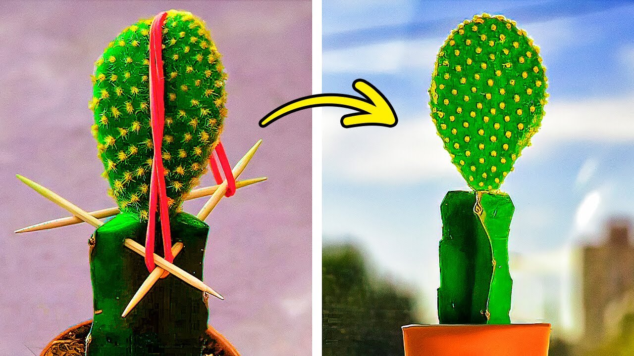 Semplici trucchi per il giardino che dovresti conoscere per Super Piante