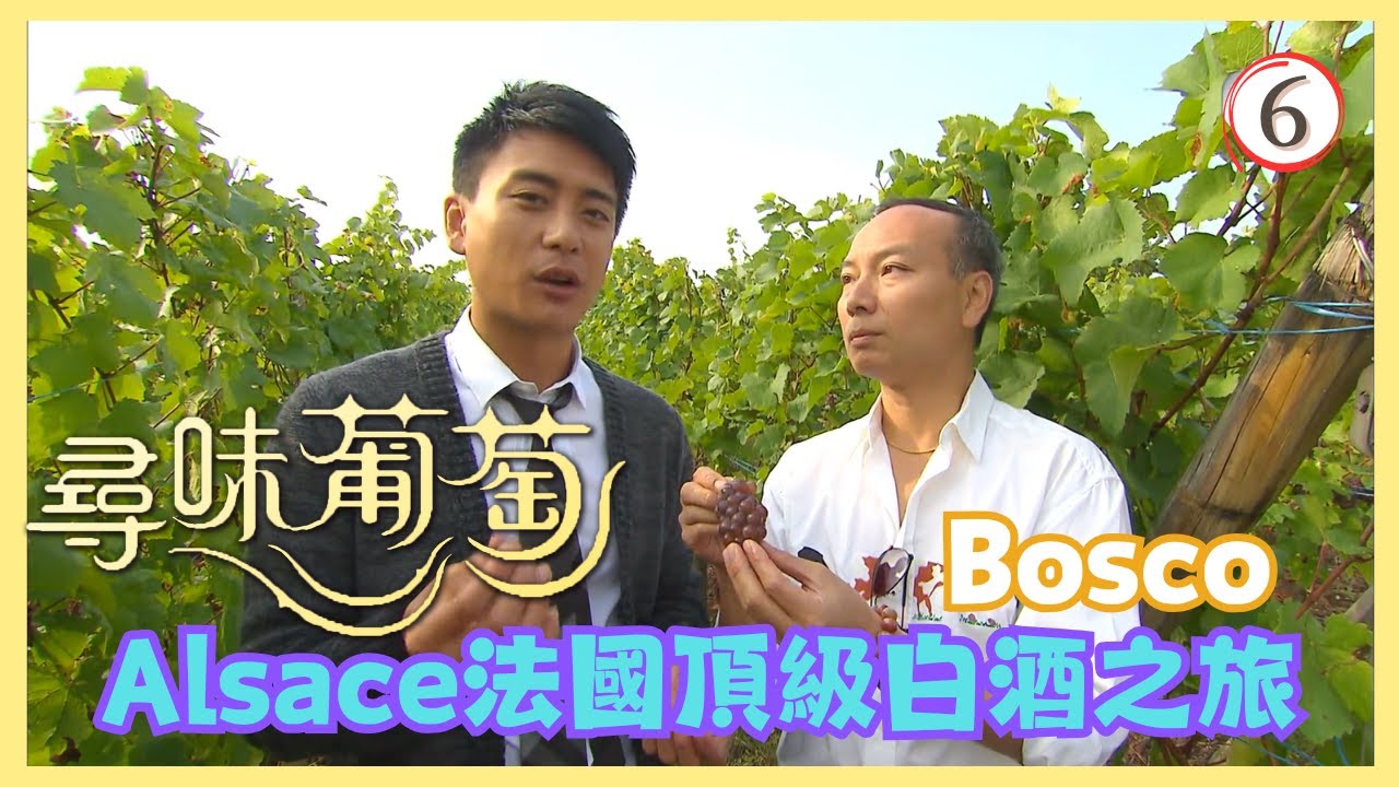 TVB飲食節目 | 尋味葡萄 06/06 | 阿爾薩斯白酒之旅 | 黃宗澤、葉澍堃、郭偉信 | 粵語中字 | TVB 2009
