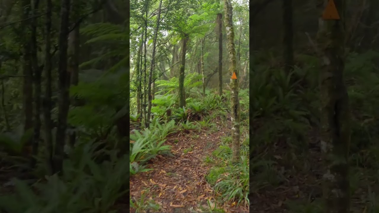 Gable End Ridge Track - Tararua Ranges - New Zealand