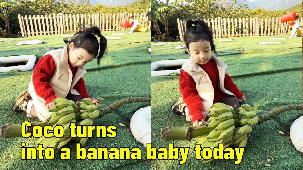 Coco turns into a banana baby and plays games today.【Parent-child Adventure CoCo】