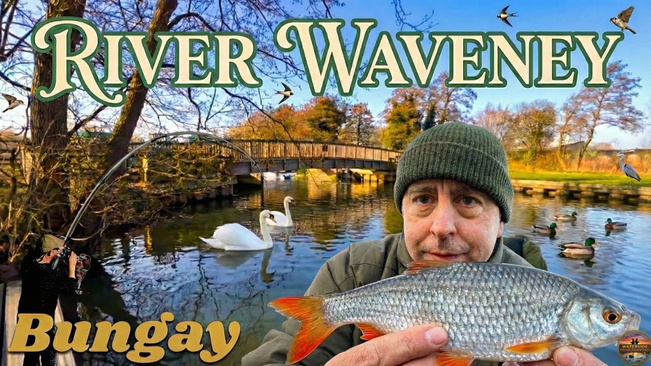 River Waveney Bungay big roach fishing Norfolk coarse angling