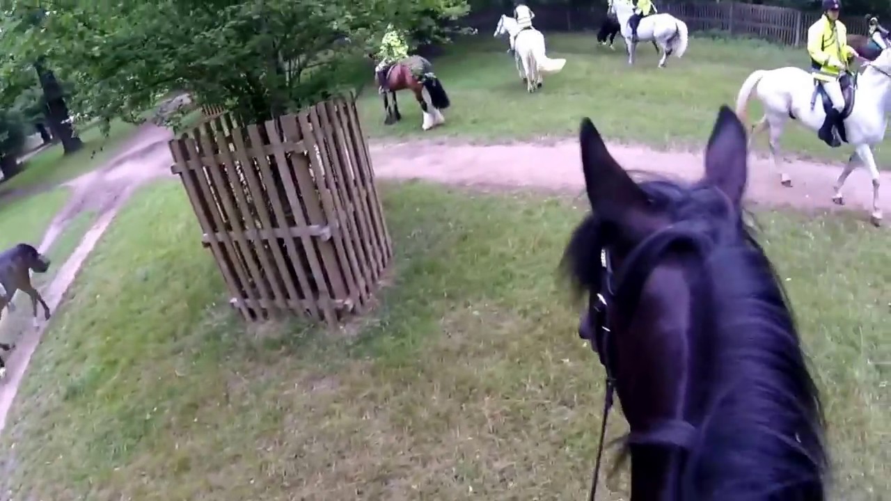 Ozzie ride - Horse Rangers Association - Hampton Court - Squadron 2