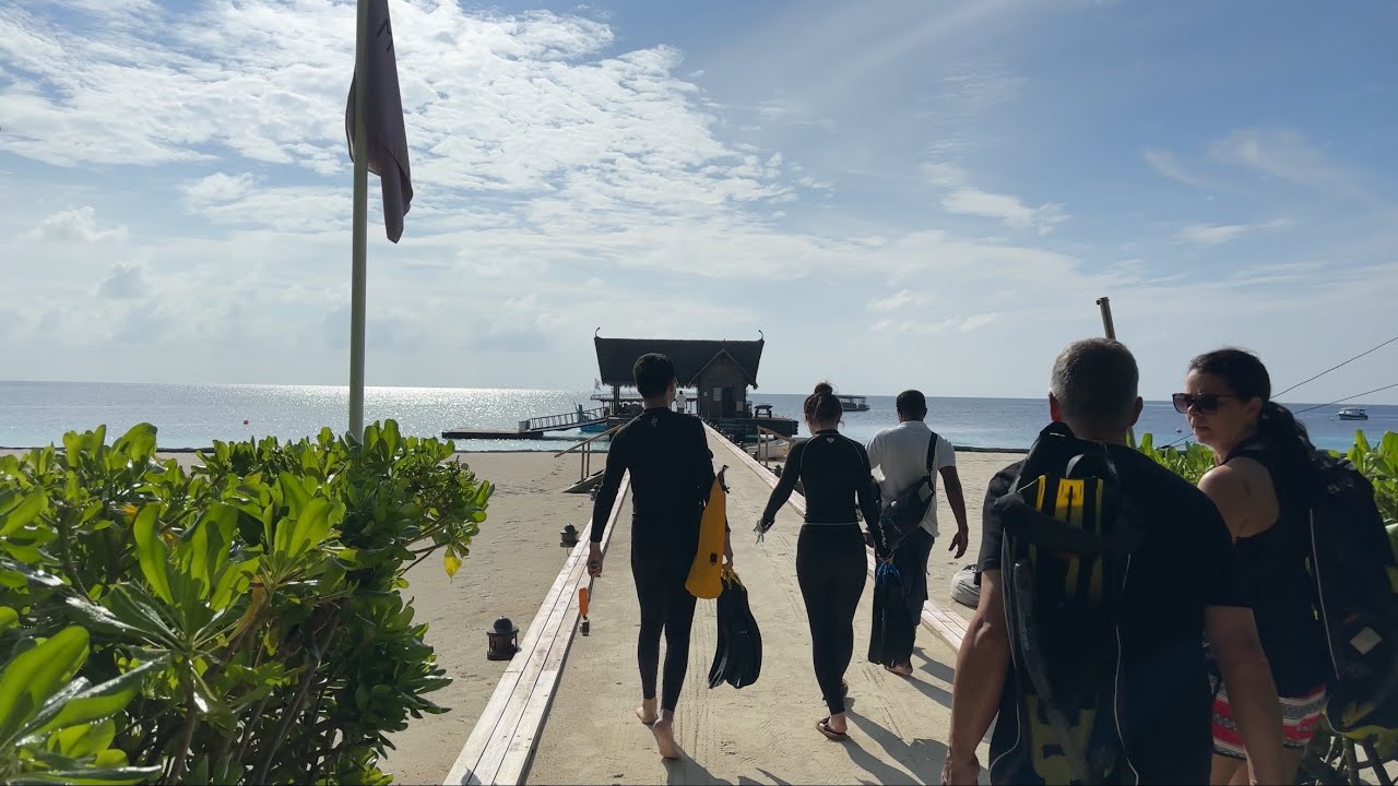 Snorkeling Extravaganza & Dolphin Cruise in 4K | Constance Moofushi Maldives