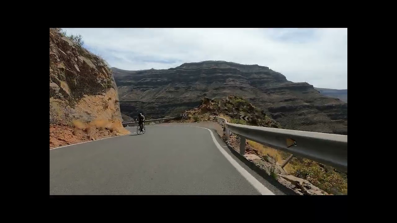 Tauro - Soria -Tauro