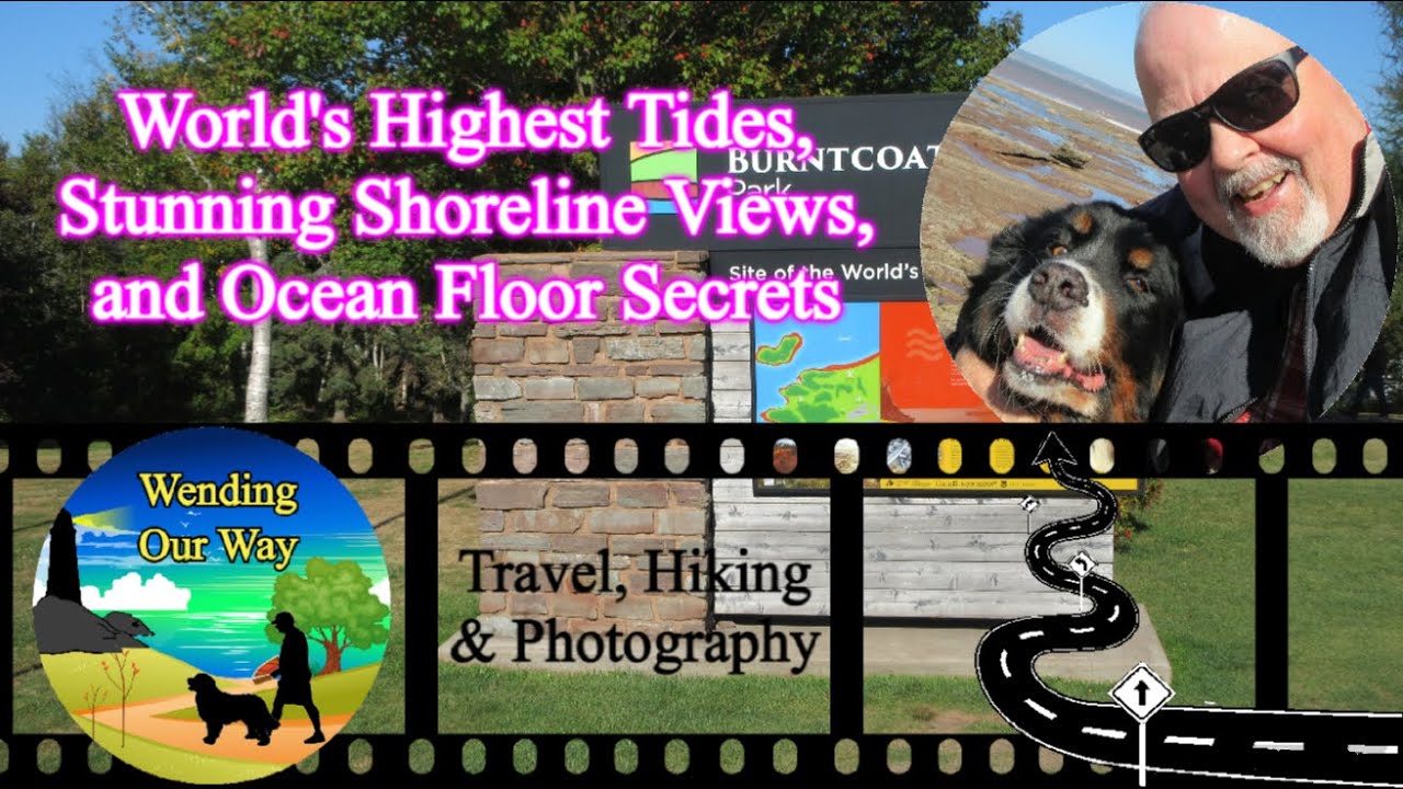 World's Highest Tides, Stunning Shoreline Views, and Ocean Floor Secrets | Burntcoat Head Park