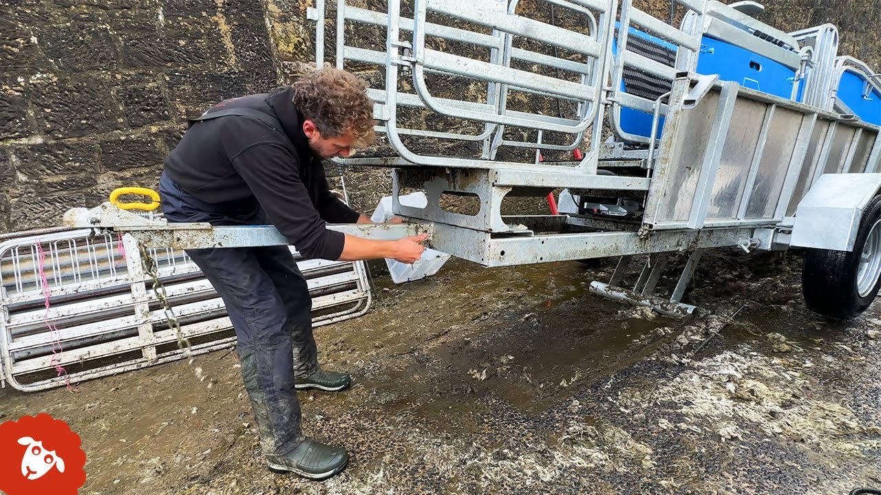 My TE PARI Sheep Handler is leaving the farm...
