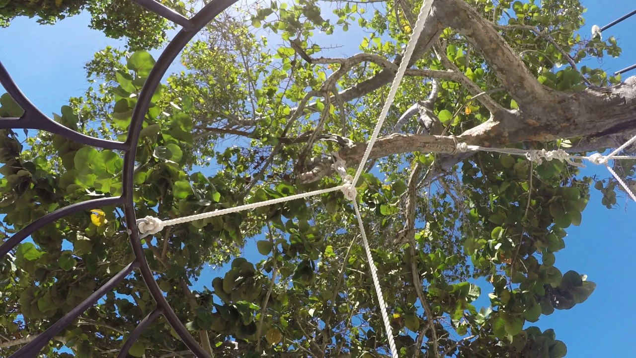 Tree Swing Jamaica - GoPro 4K Video