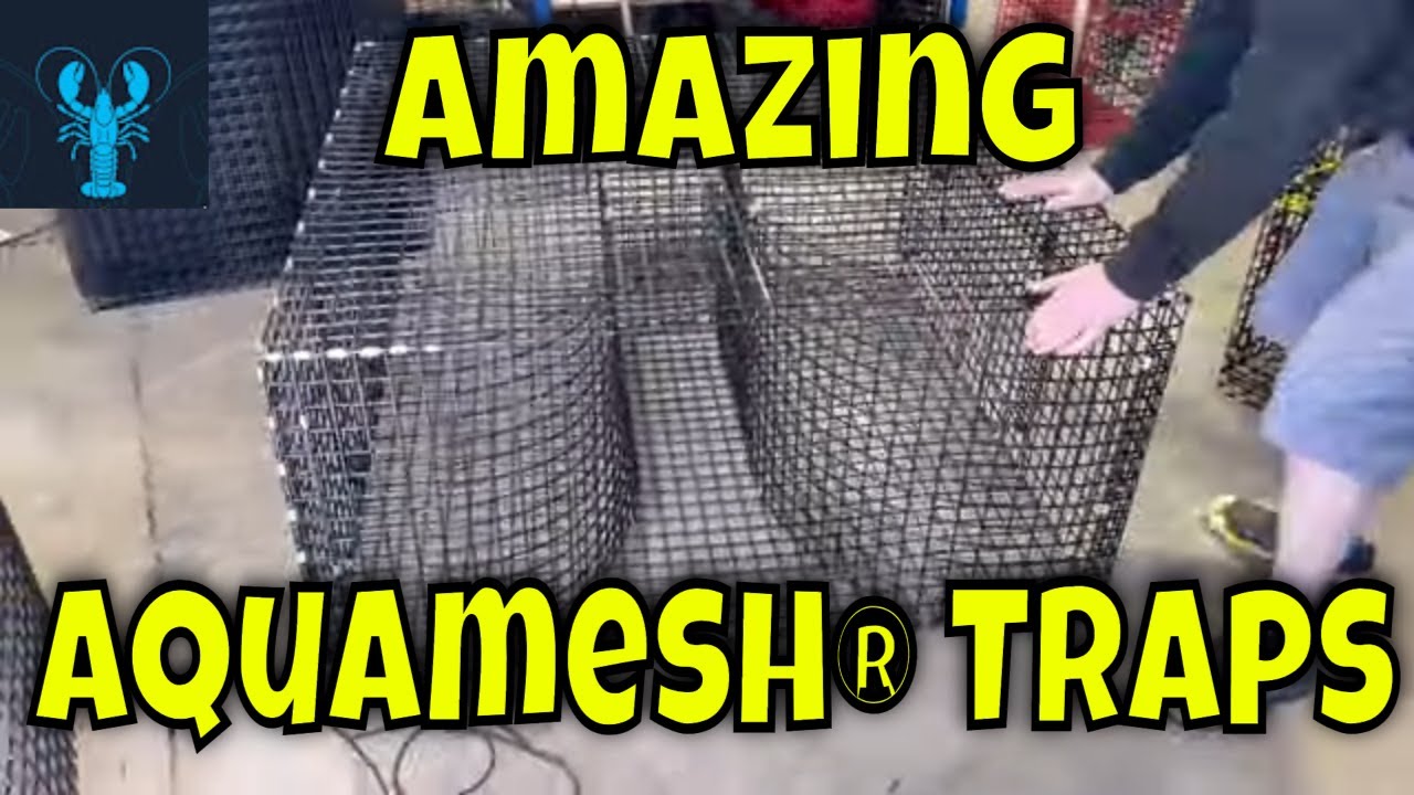 World's Deadliest Traps That Actually Worked