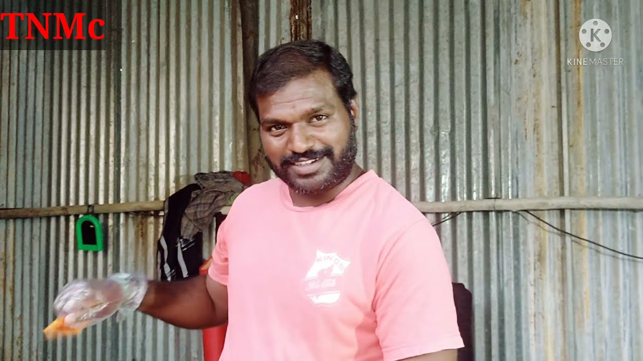 சில்லி சிக்கன் 65 கடை வைக்கணுமா,#chicken #chickenfry #businessideas  #chickenrecipe #chickenshop