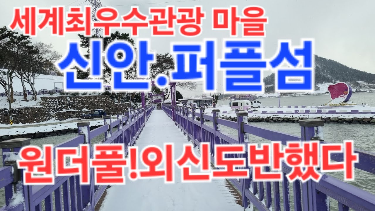외신도반했다.신안퍼플섬#퍼플섬#신안가볼만한곳  2026.1.2.