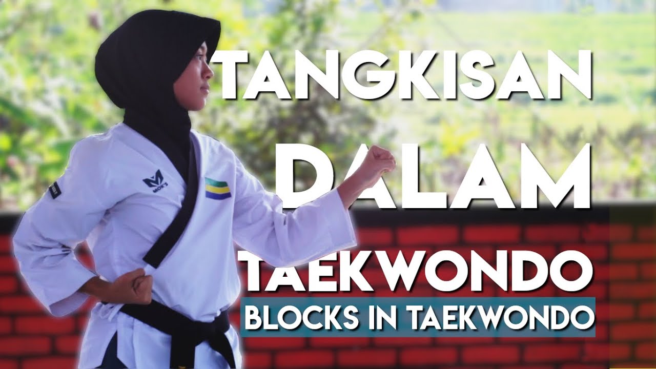 TANGKISAN-TANGKISAN DALAM TAEKWONDO (Part 1) || Taekwondo Basics